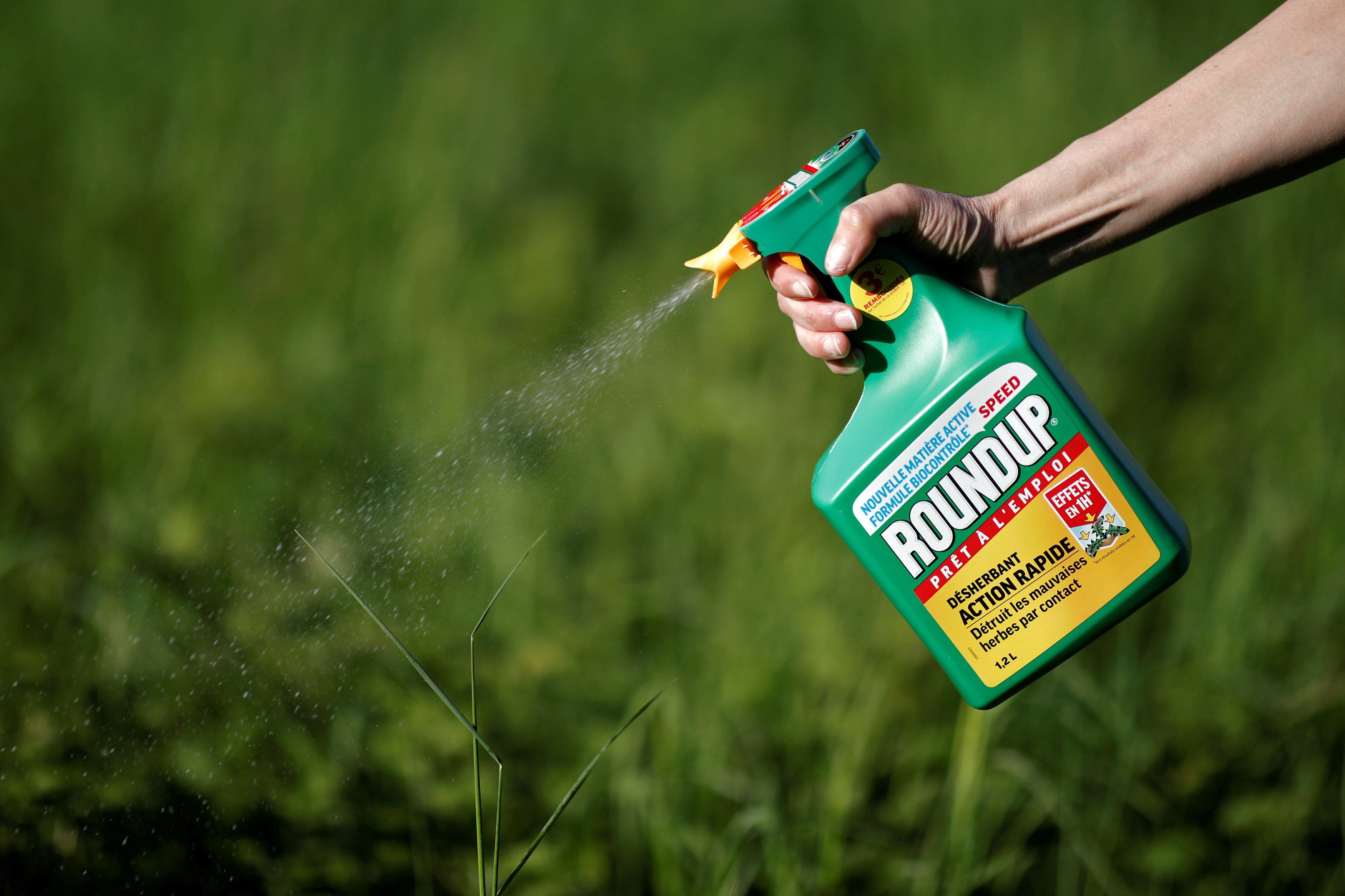 FILE PHOTO:    A woman uses a Monsanto's Roundup weedkiller spray without glyphosate in a garden in Ercuis near Paris